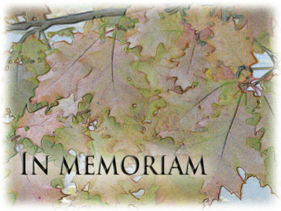 Remember Fallen Leaves