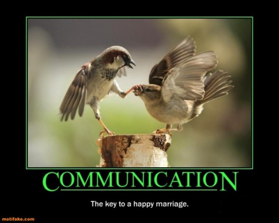 Marriage Counseling - Sparrow