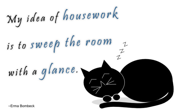 My Idea of Housework