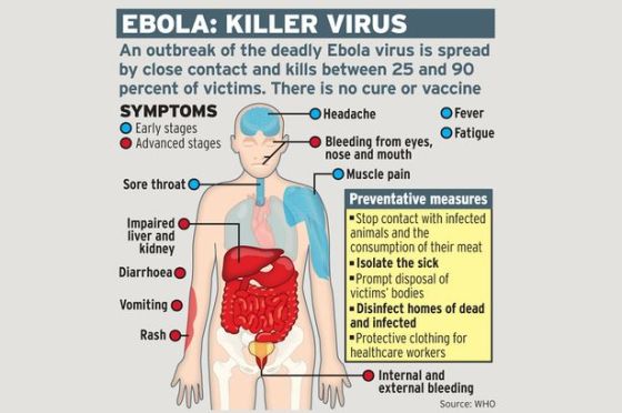 Ebola graphic
