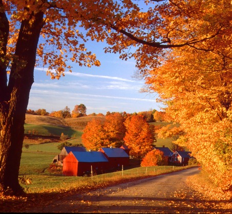 Leaf Peeping - A New Thanksgiving Tradition - Support for Stepdads