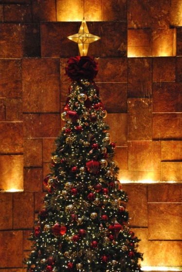 First Christmas - Christmas tree