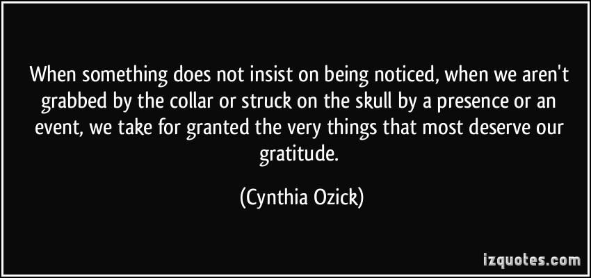 quote-when-something-does-not-insist-on-being-noticed-when-we-aren-t-grabbed-by-the-collar-or-struck-on-cynthia-ozick-386325