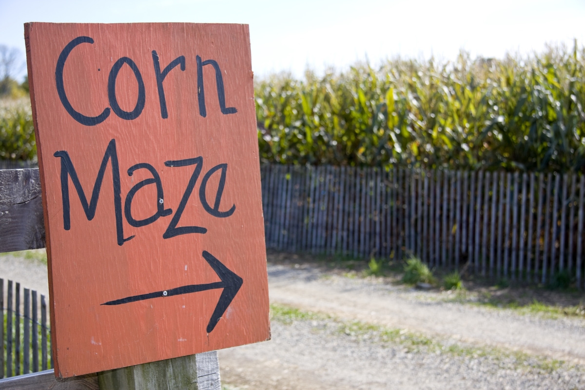 bonding activities for the stepfamily - picture of Corn Maze sign pointing to a maze