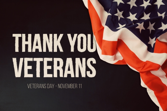 why I stand -Veterans day background with text and USA flag