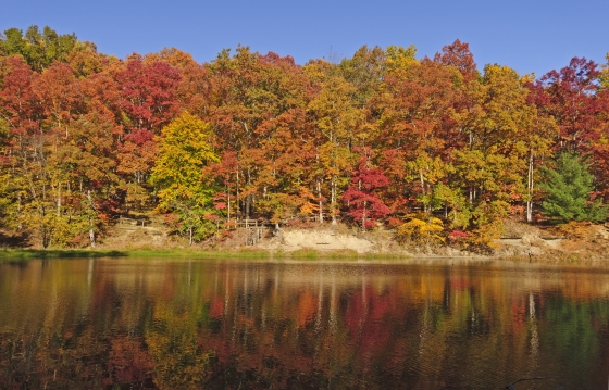 create the perfect outdoor space for fall - scene of fall foliage reflecting off a lake