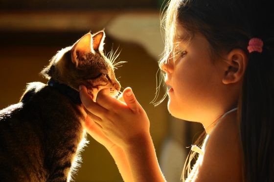 amazing benefits of pets - stepdaughter with her tabby