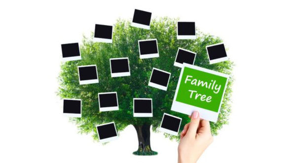 How To Research Your Family Tree - Support For Stepdads