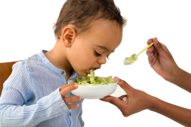 getting your toddler to eat their veggies - toddler not liking his vegetables