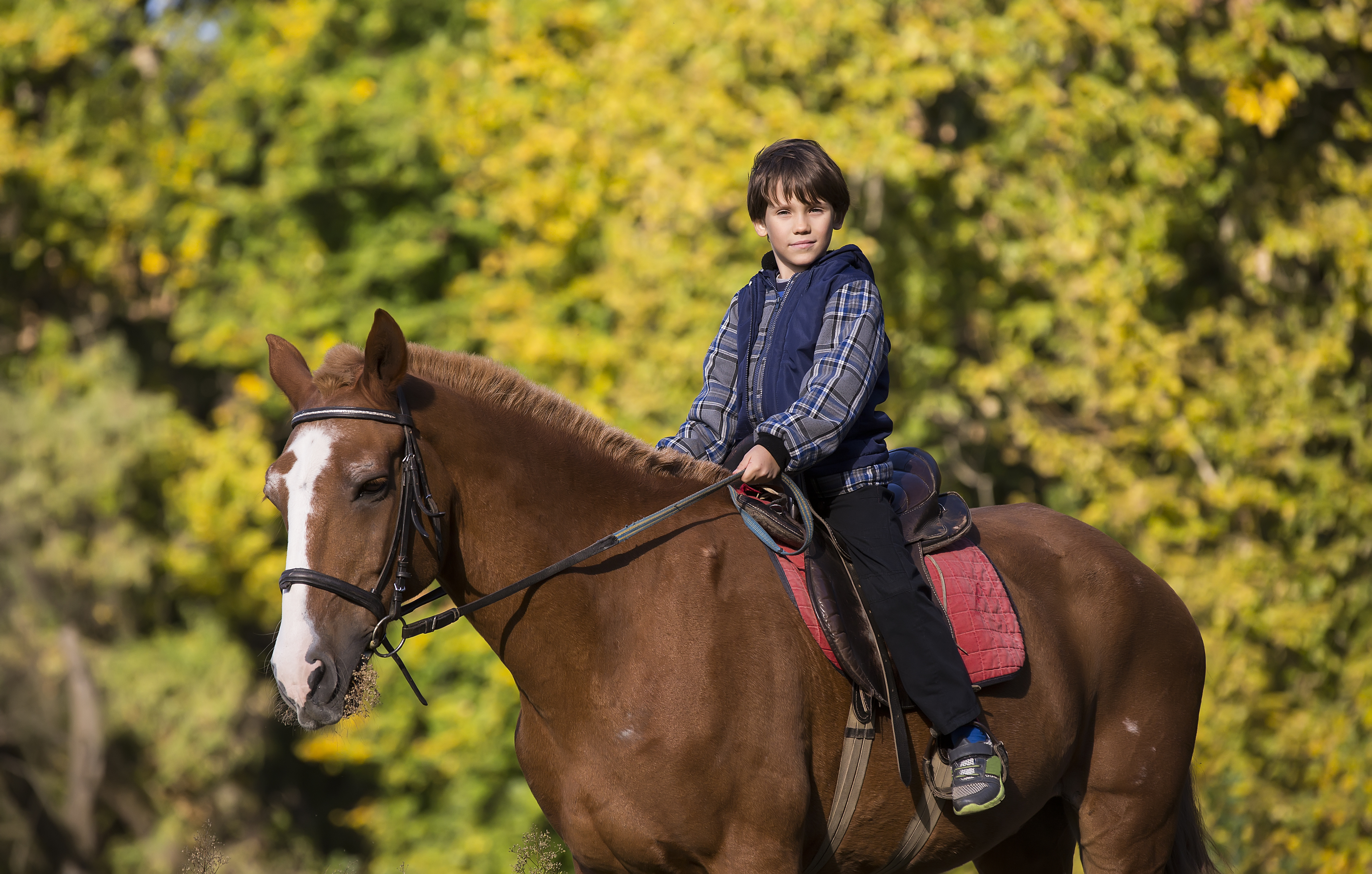 beginner horse riding tips - young boy riding on horse