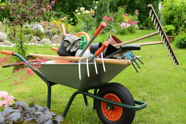 wheelbarrel full of various gardening tools