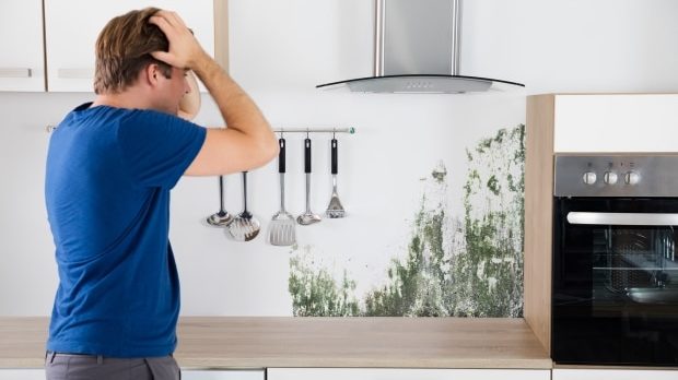 how to stop mold growing on your walls - man shocked by mold on kitchen wall