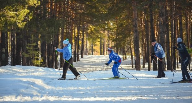 cheap winter family activities - family cross-country skiing crossing the road