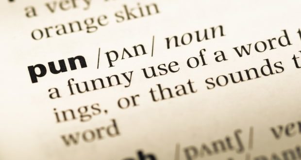 dictionary definition of pun
