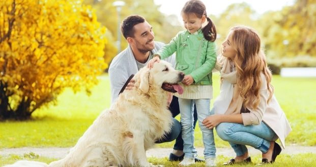 introducing a new pet- a happy family with their dog