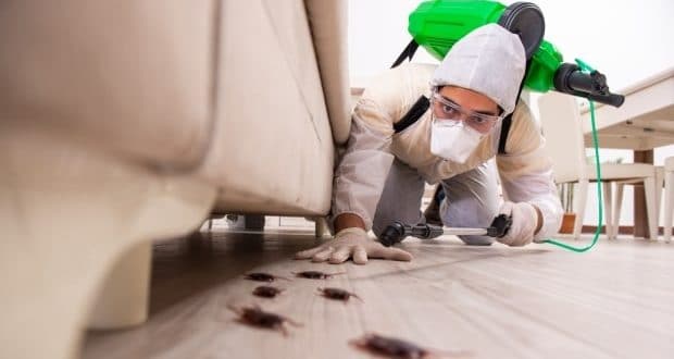Is pest control necessary in the winter? Pest control professional working in a home.