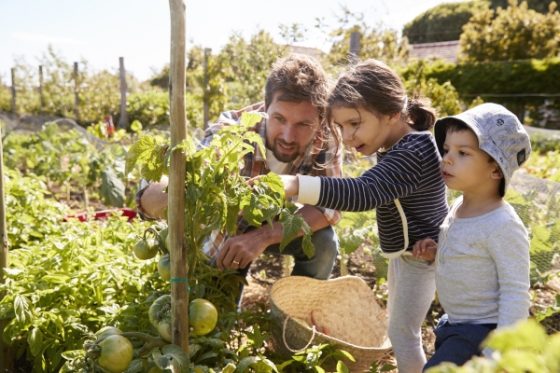 Ways to have outdoor fun in your house- dad gardening with kids