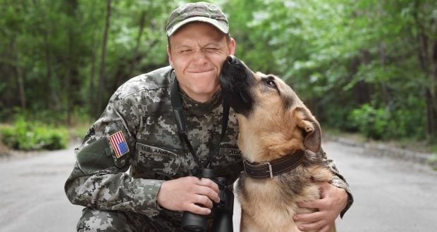 Army soldier with German Shepard