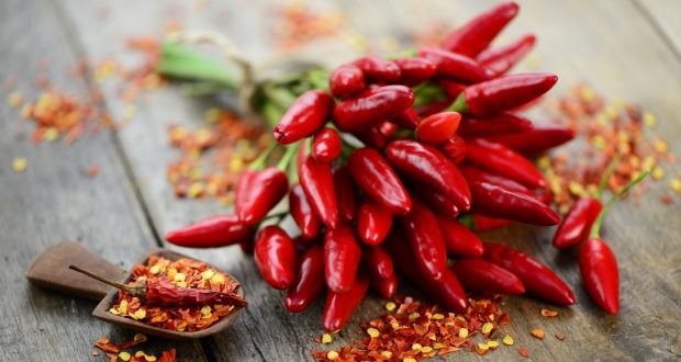 National Chili Day- Chili Pepper