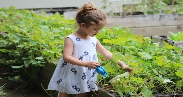 How to start a home based garden - A little girl in a garden
