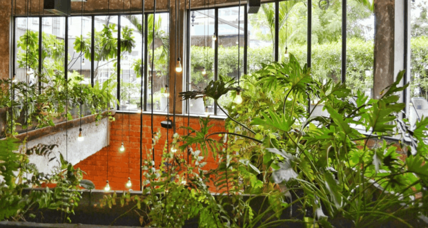 Indoor Landscaping- Beautiful indoor landscaping