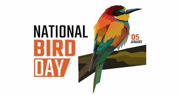 National Bird Day - National Bird Day