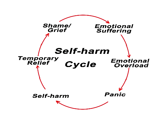 Self -harm Cycle