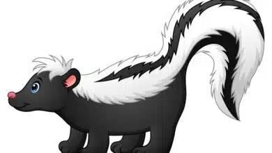 Pepé Le Pew deportation satire-Cute skunk cartoon