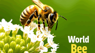World Bee Day - a bee on flowers