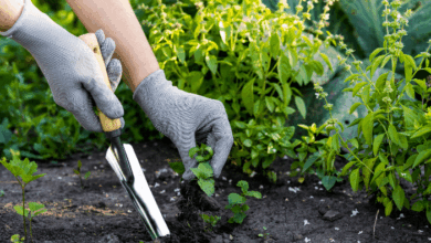 National Weed Your Garden Day-gardener weeding