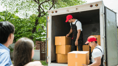 Tips for working successfully With removalists- moving officials loading boxes into a van