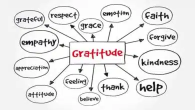 Gratitude in blended families - gratitude mind map