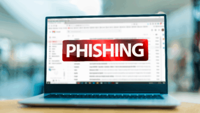 holiday stress in blended families - Phishing