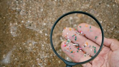 The invisible threat - a close-up view of microplastics