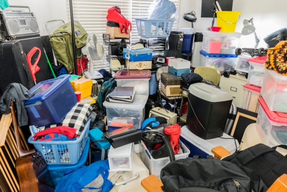Spring Cleaning Humor - Hoarder backed with miscellaneous junk