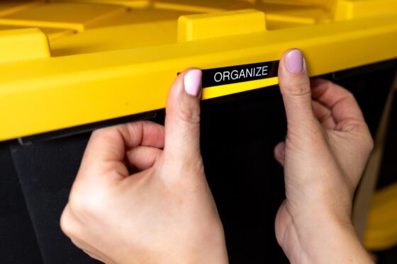 Spring cleaning humor - Storage bins organizing clutter but not reducing it