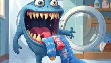 the mystery of missing socks - A cartoon monster devouring socks from a washing machine
