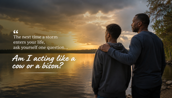 blended family challenges - A Black stepfather and teenage stepson standing together at the edge of a calm lake just after a storm